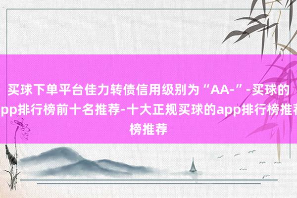 买球下单平台佳力转债信用级别为“AA-”-买球的app排行榜前十名推荐-十大正规买球的app排行榜推荐