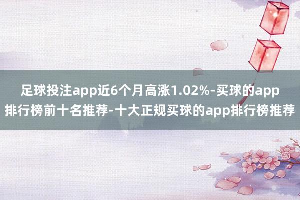 足球投注app近6个月高涨1.02%-买球的app排行榜前十名推荐-十大正规买球的app排行榜推荐