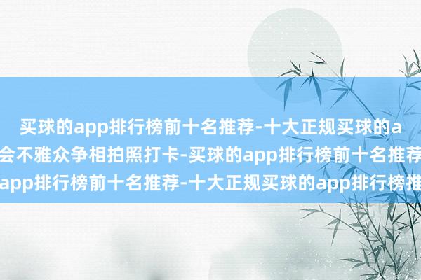 买球的app排行榜前十名推荐-十大正规买球的app排行榜推荐诱骗与会不雅众争相拍照打卡-买球的app排行榜前十名推荐-十大正规买球的app排行榜推荐