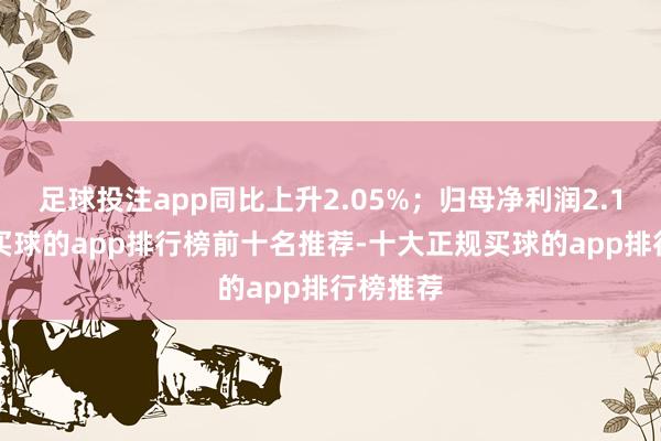 足球投注app同比上升2.05%；归母净利润2.13亿元-买球的app排行榜前十名推荐-十大正规买球的app排行榜推荐