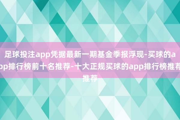 足球投注app凭据最新一期基金季报浮现-买球的app排行榜前十名推荐-十大正规买球的app排行榜推荐