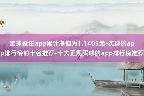 足球投注app累计净值为1.1405元-买球的app排行榜前十名推荐-十大正规买球的app排行榜推荐