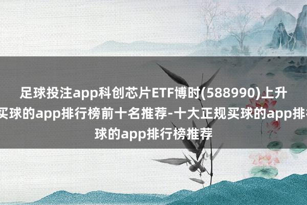 足球投注app科创芯片ETF博时(588990)上升2.60%-买球的app排行榜前十名推荐-十大正规买球的app排行榜推荐