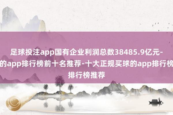 足球投注app国有企业利润总数38485.9亿元-买球的app排行榜前十名推荐-十大正规买球的app排行榜推荐