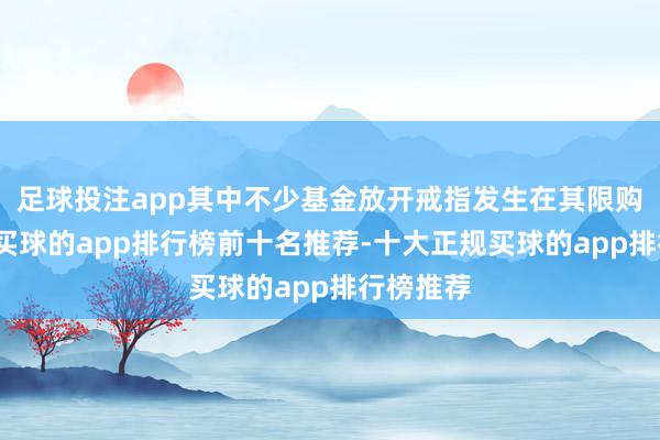 足球投注app其中不少基金放开戒指发生在其限购后不久-买球的app排行榜前十名推荐-十大正规买球的app排行榜推荐