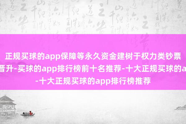 正规买球的app保障等永久资金建树于权力类钞票比例将进一步晋升-买球的app排行榜前十名推荐-十大正规买球的app排行榜推荐