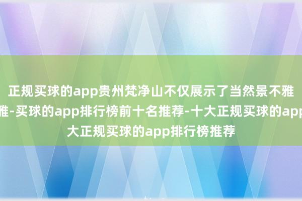 正规买球的app贵州梵净山不仅展示了当然景不雅的汜博壮不雅-买球的app排行榜前十名推荐-十大正规买球的app排行榜推荐